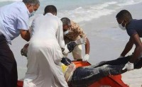 Bodies-recovered-from-Libyan-shore