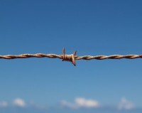 barbed-wire-1199172_1280-580x460