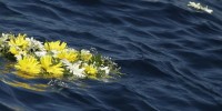 fiori-in-mare-per-i-cadaveri-di-lampedusa